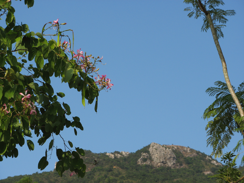 before trip 6.jpg