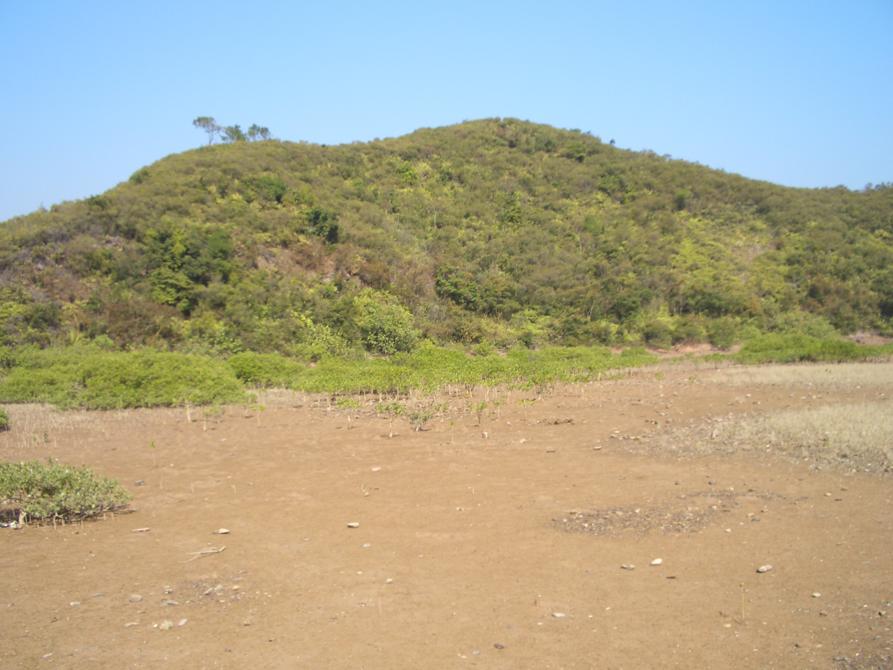 CIMG1039.JPG