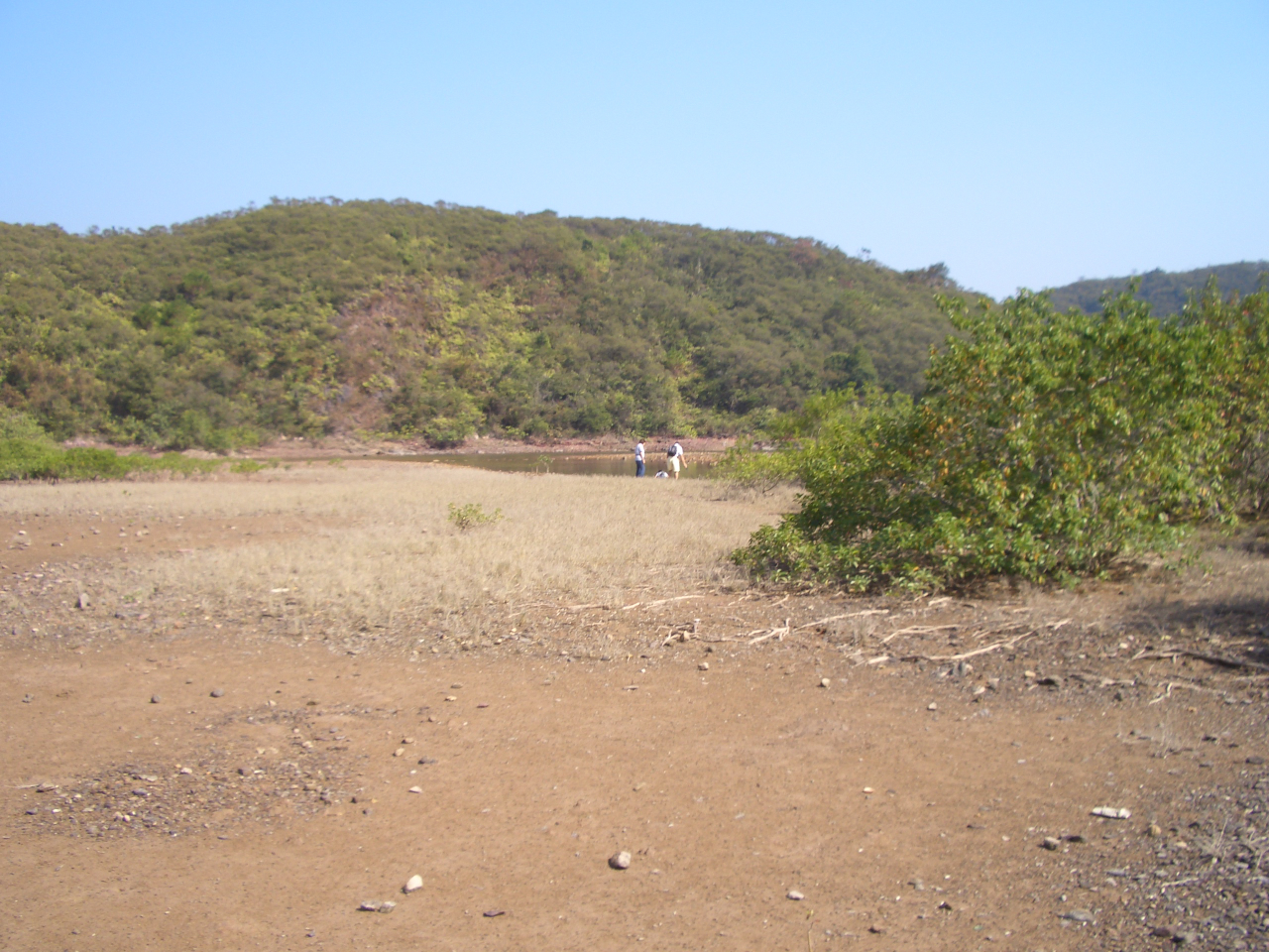 CIMG1040.JPG