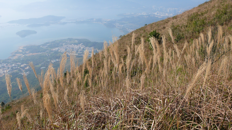 P1000867.jpg