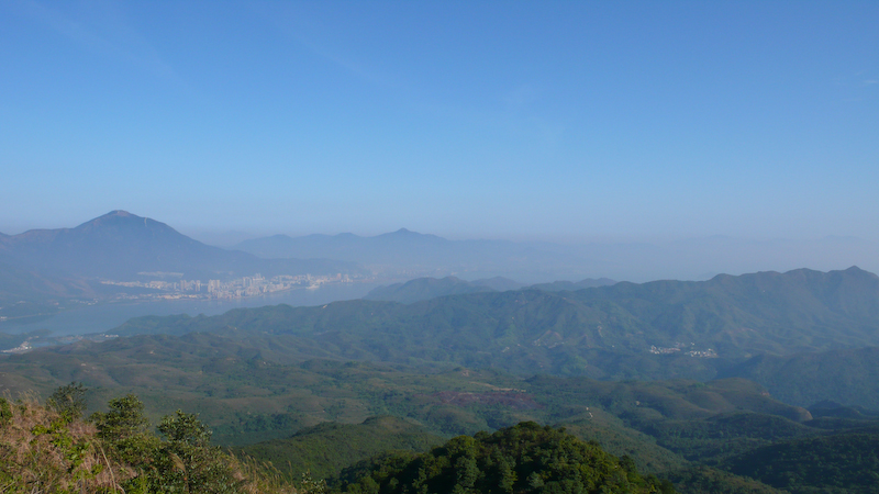 P1000875.jpg