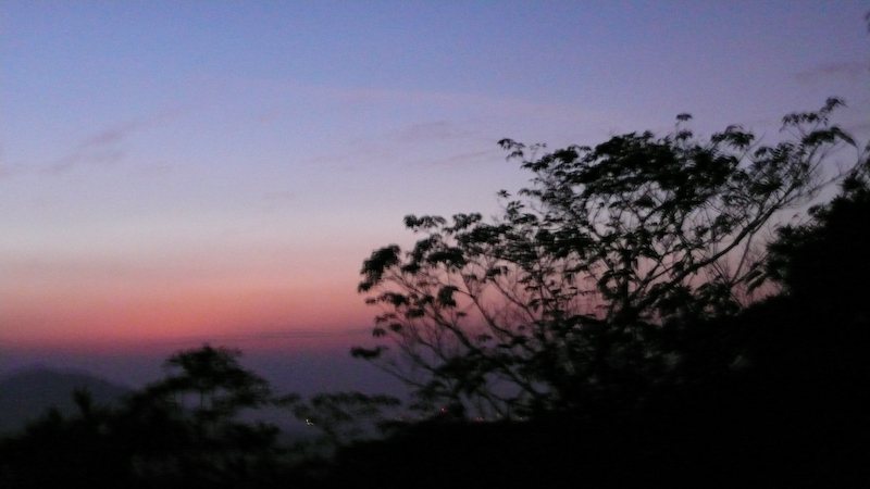 P1010077.jpg