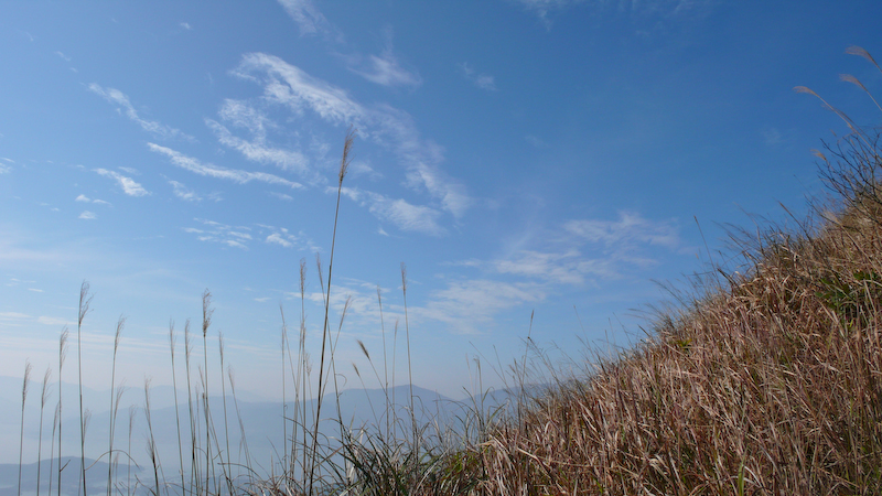 P1000884.jpg
