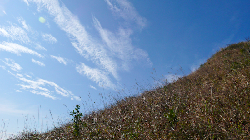 P1000888.jpg