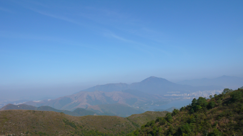 P1000905.jpg