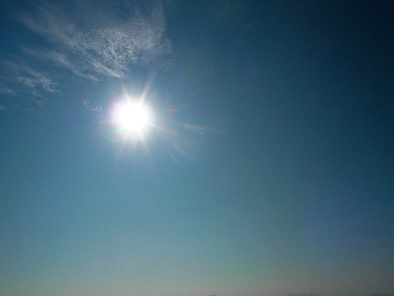 P1000448.jpg