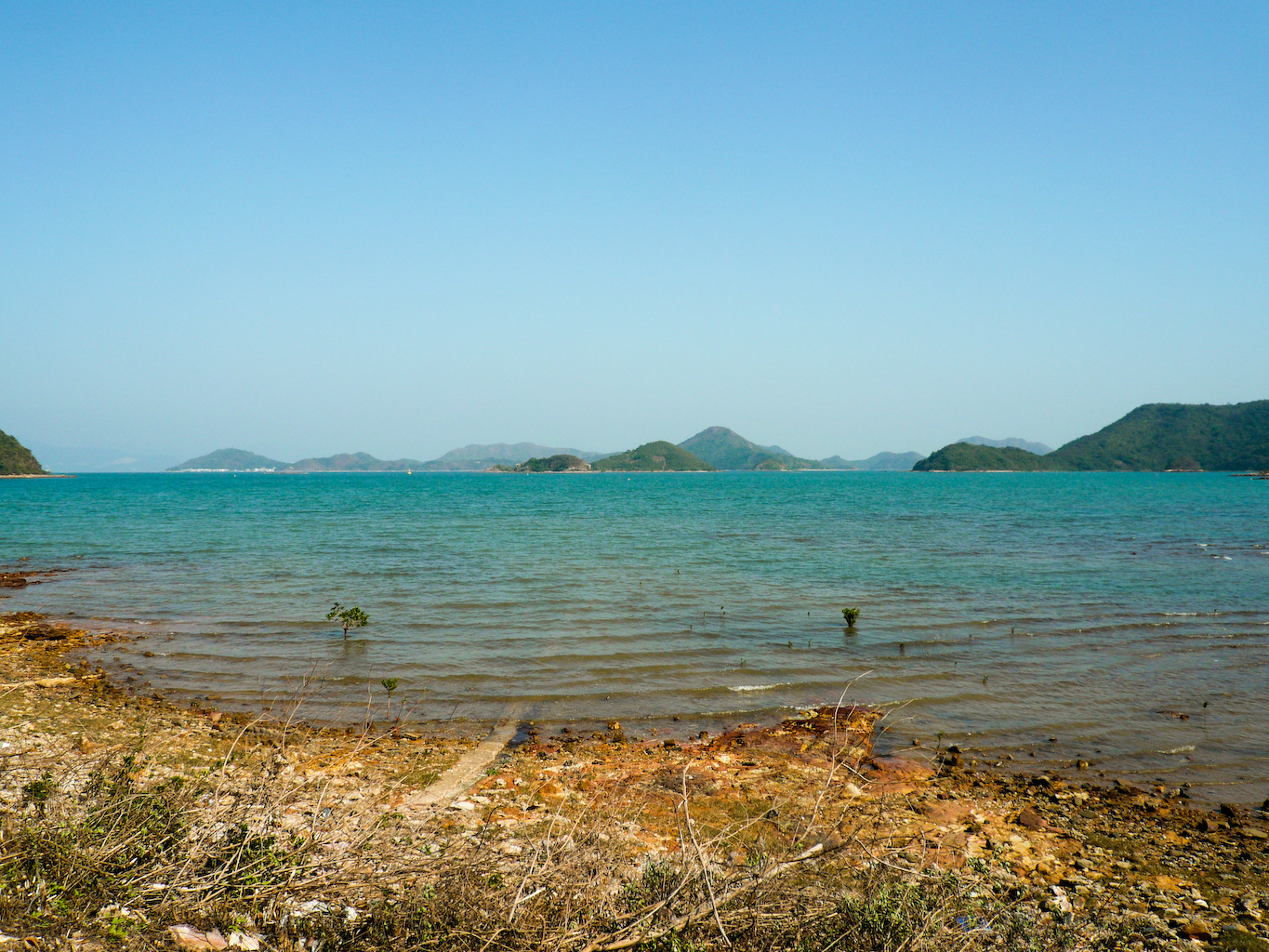 P1000484.jpg