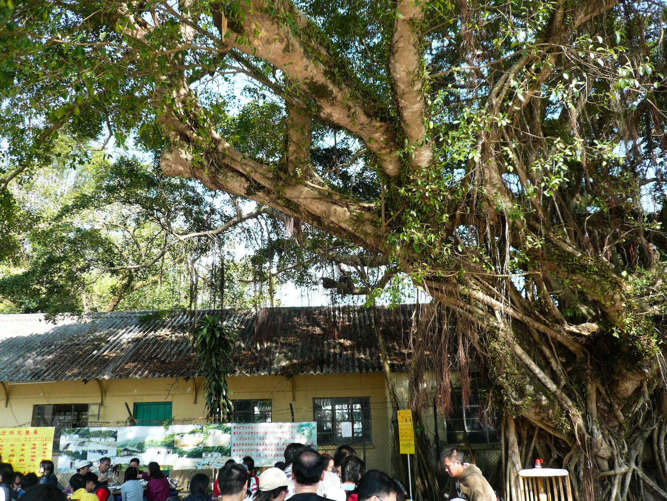 P1000488.jpg