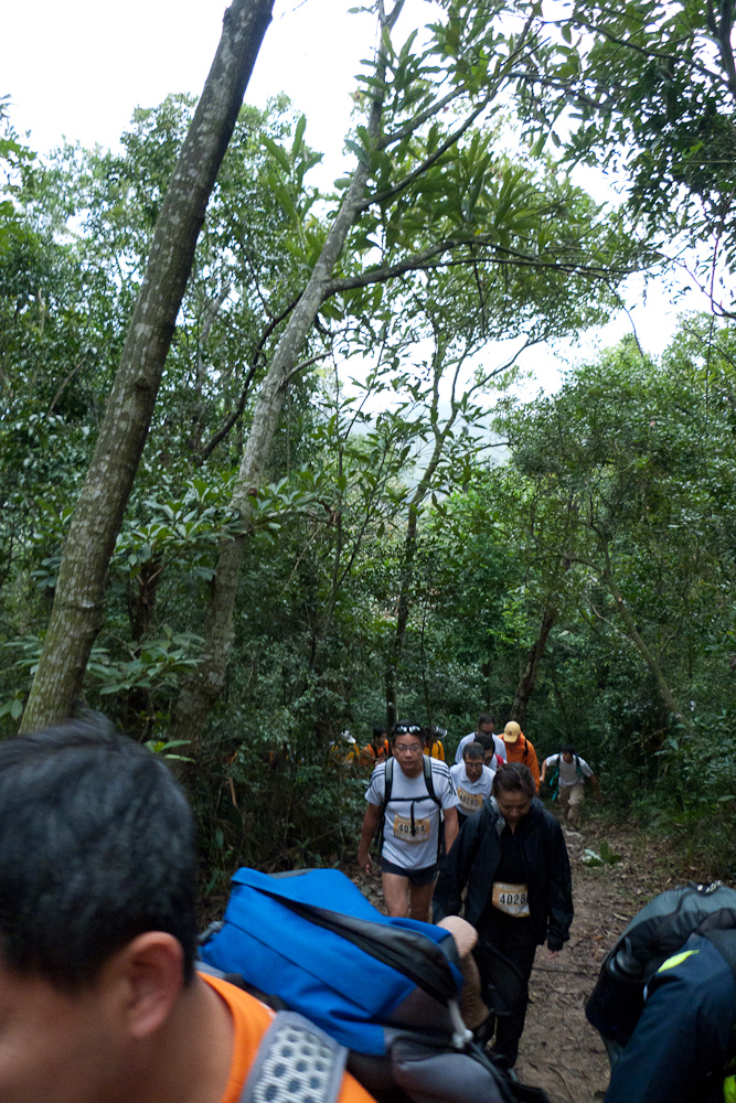 p1020307.jpg