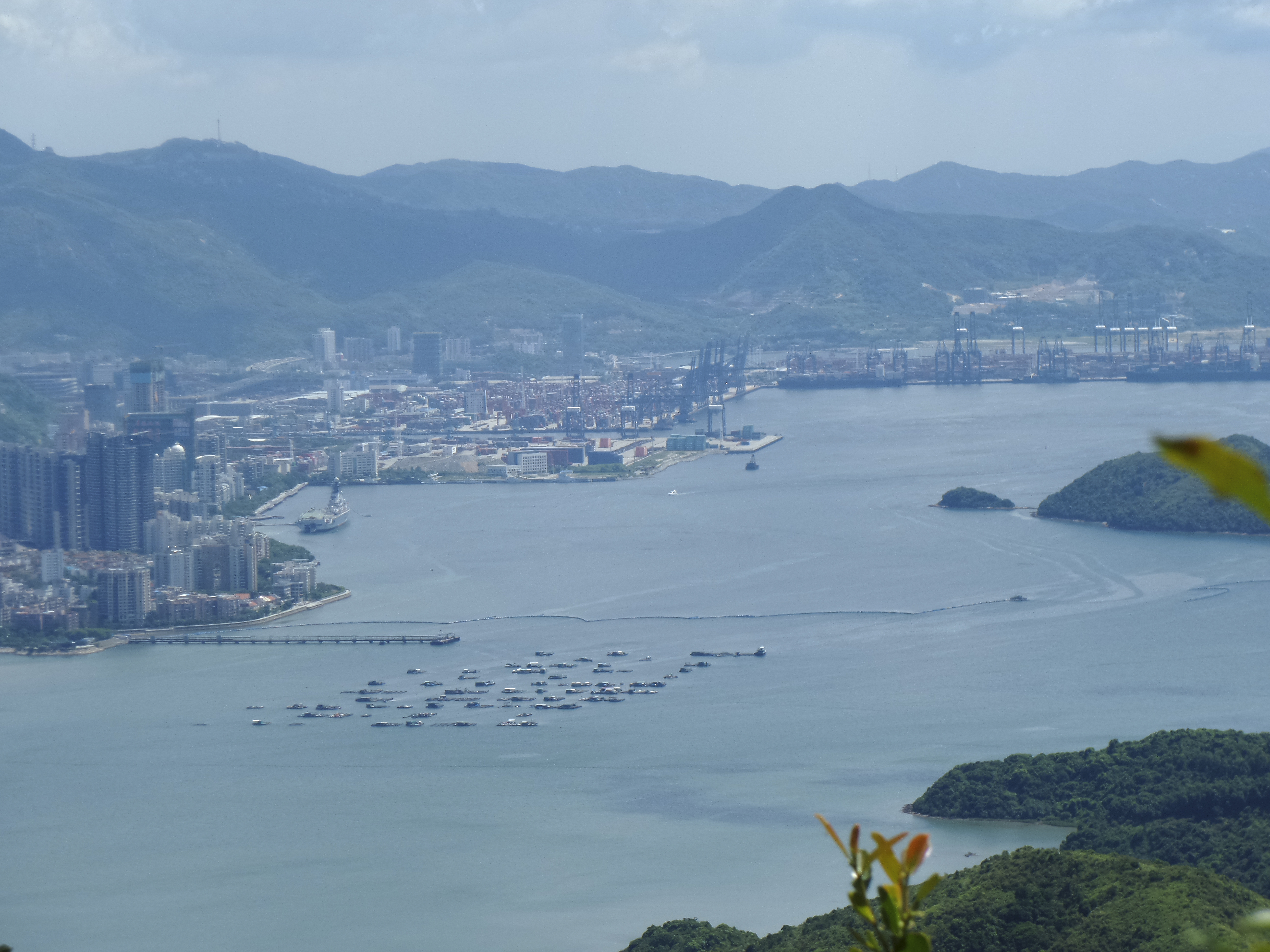 20140809_104729.jpg