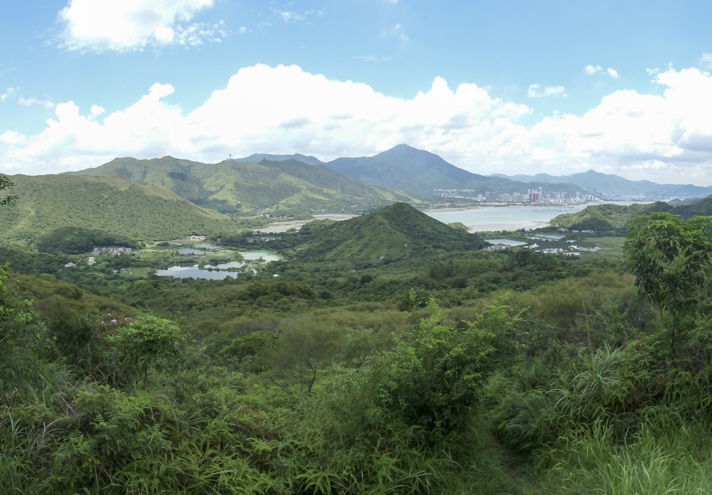 20140809_123633.jpg