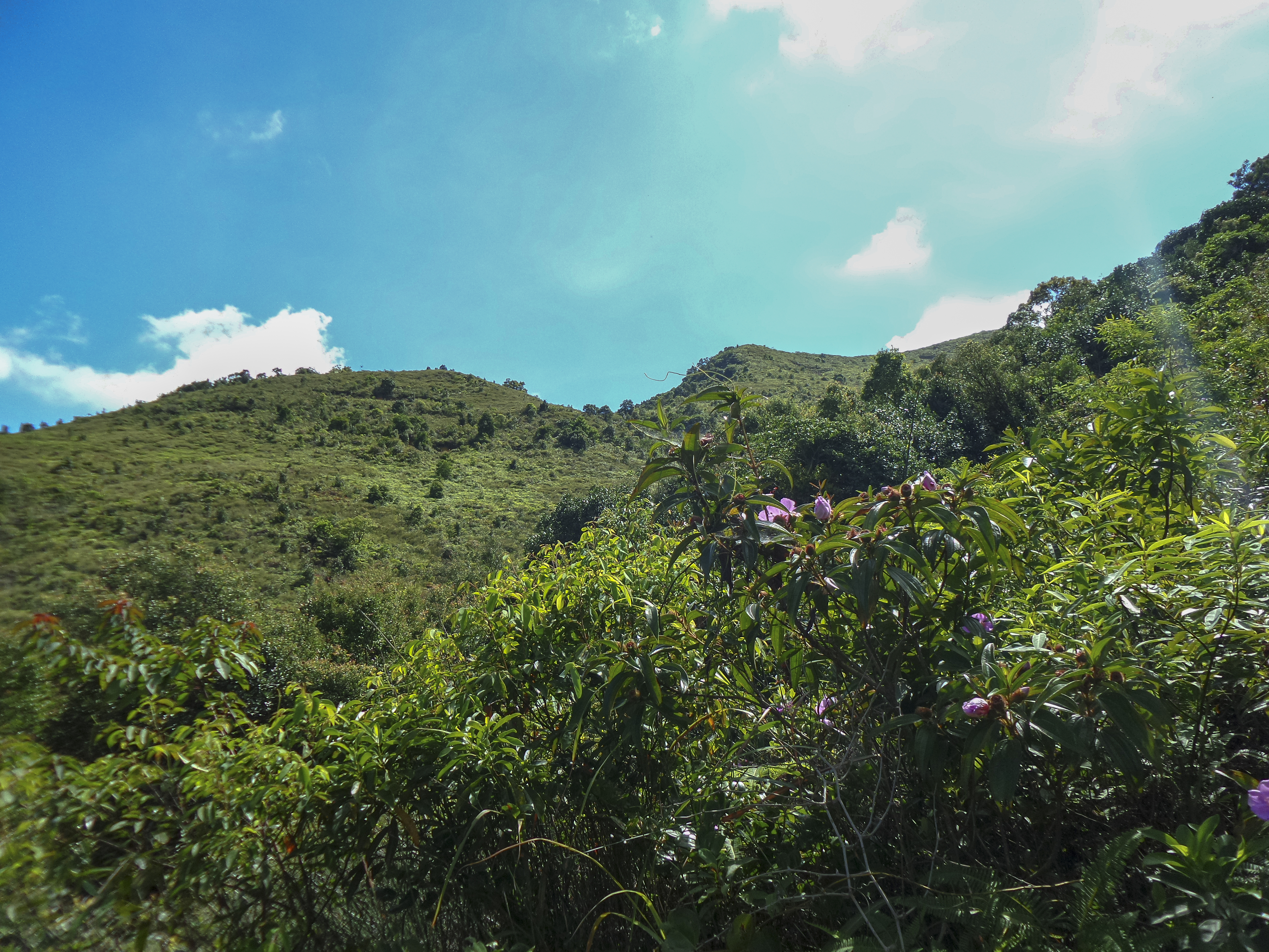 DSC_0071.jpg