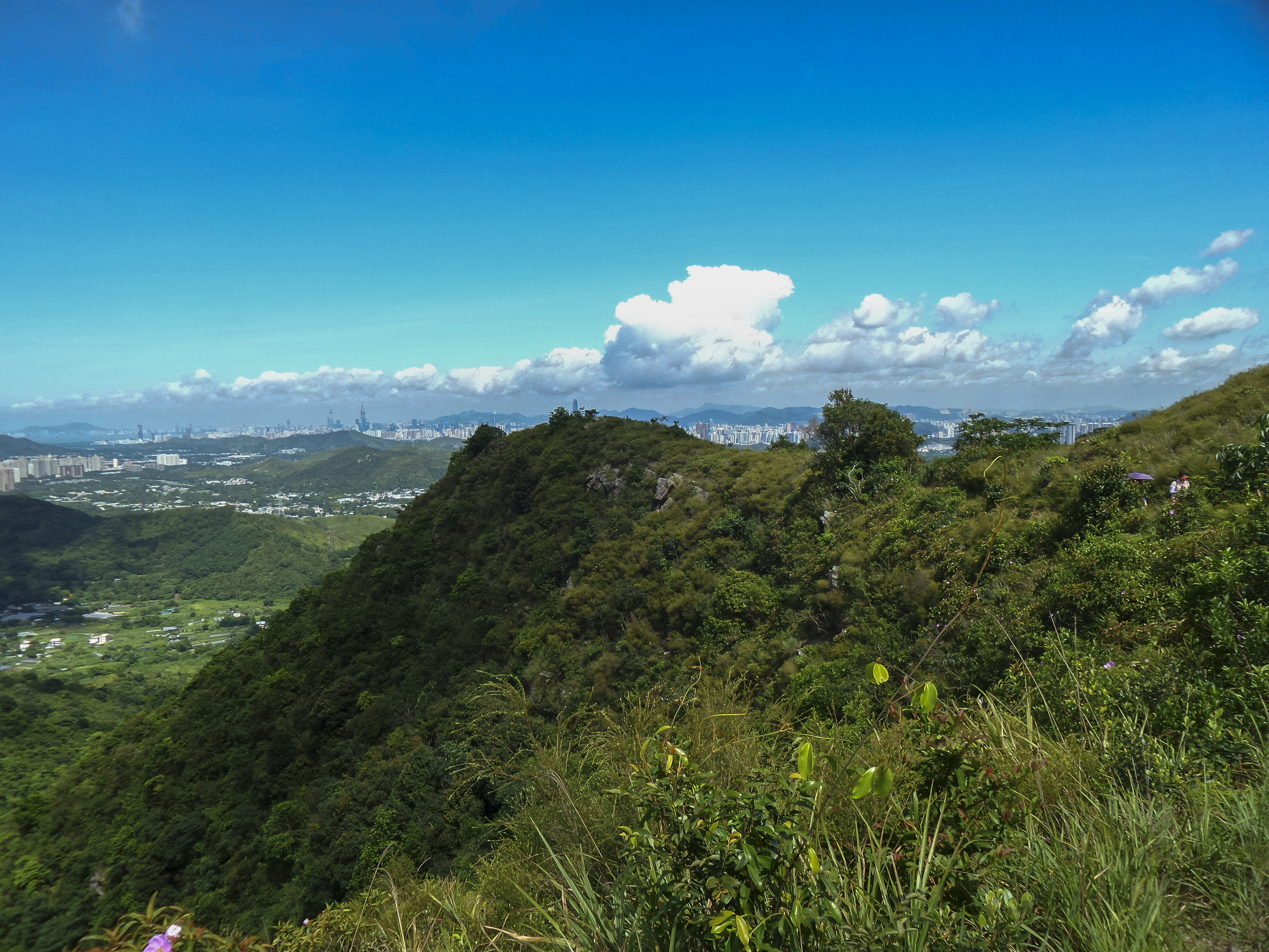 DSC_0079.jpg