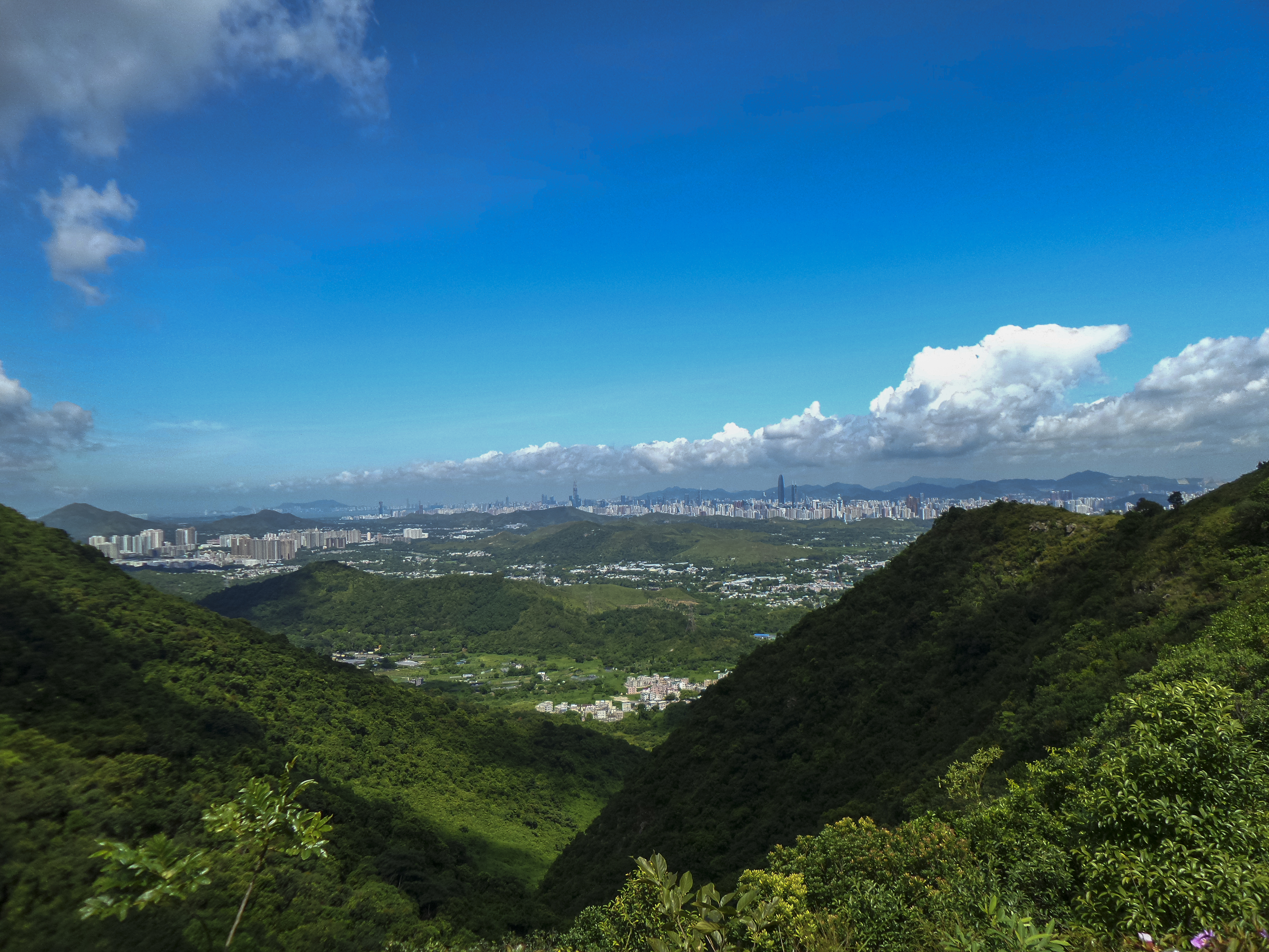 DSC_0082.jpg