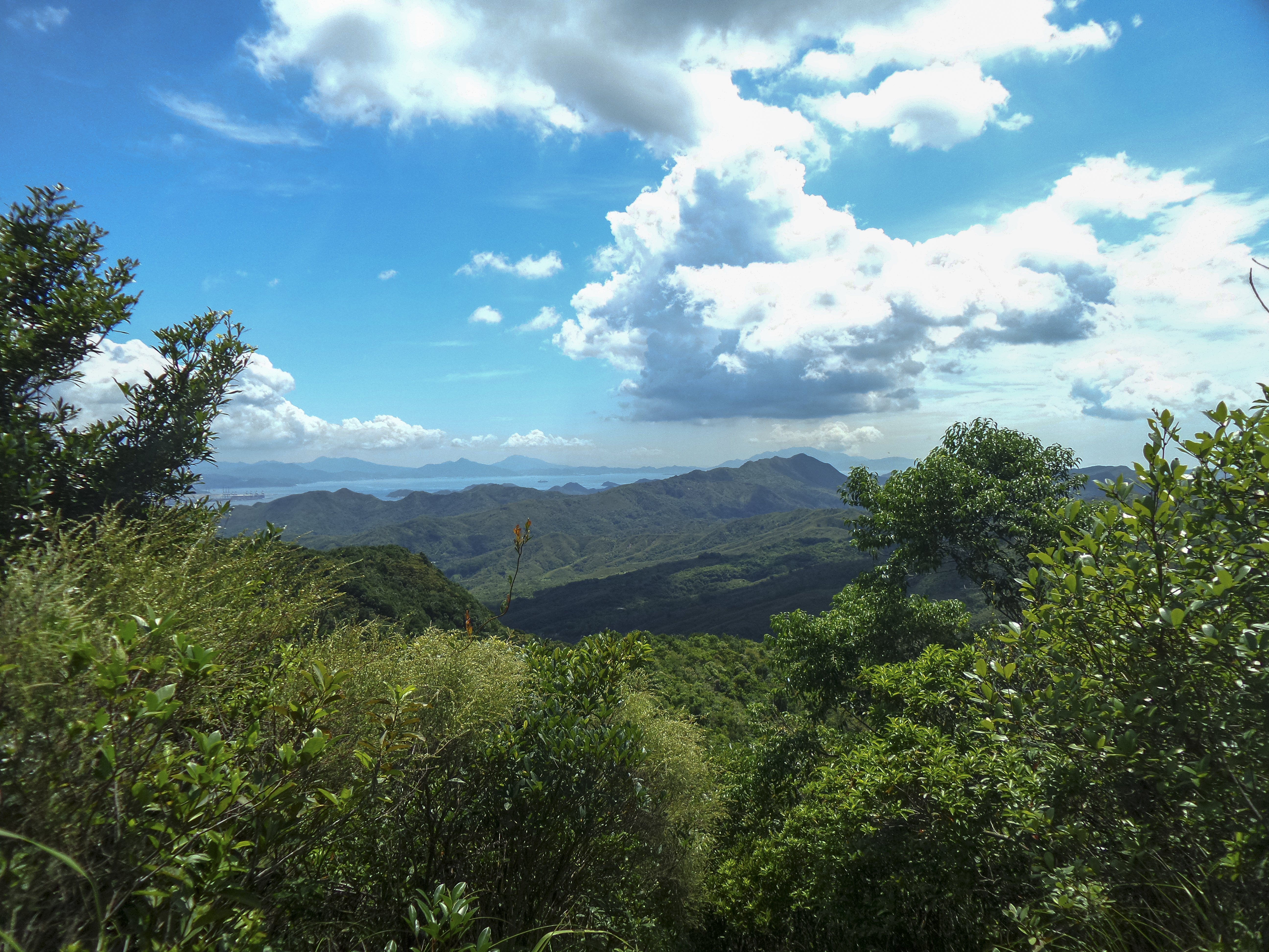DSC_0089.jpg