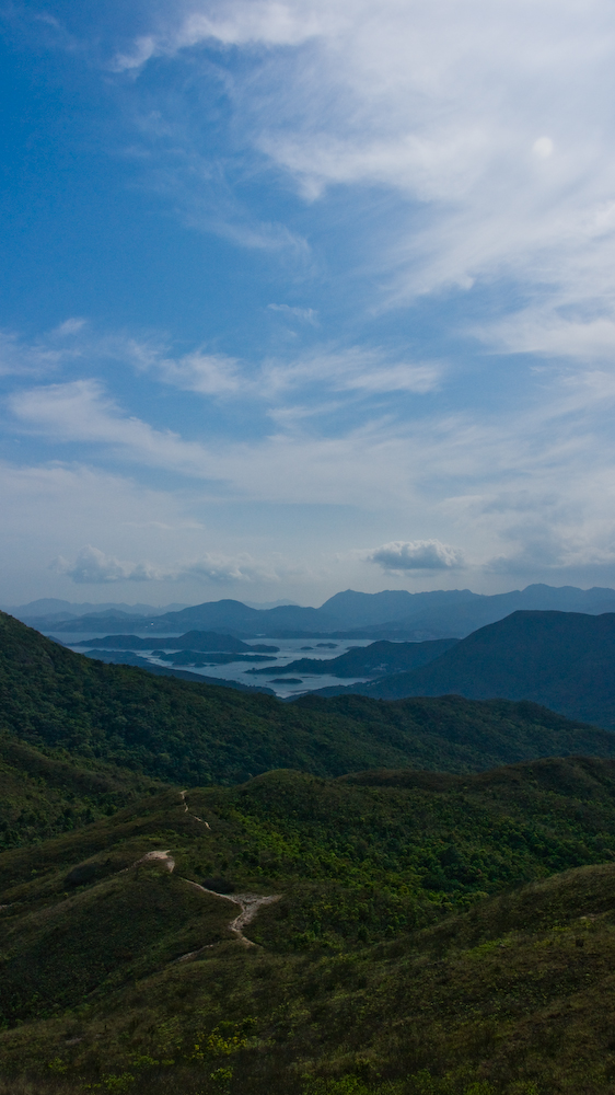 dsc08845.jpg