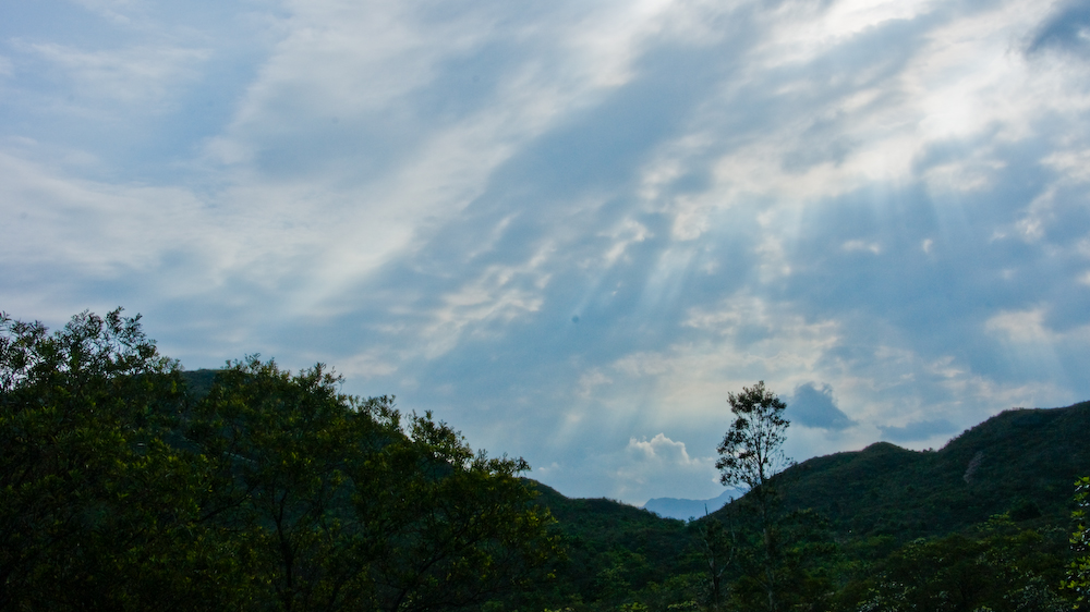 dsc08856.jpg