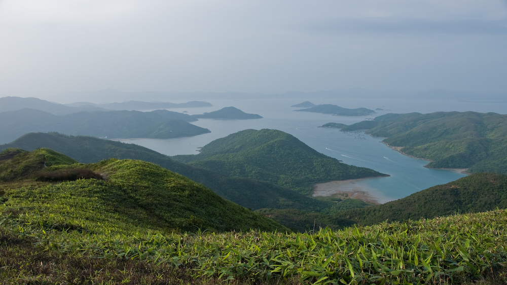 dsc08870.jpg