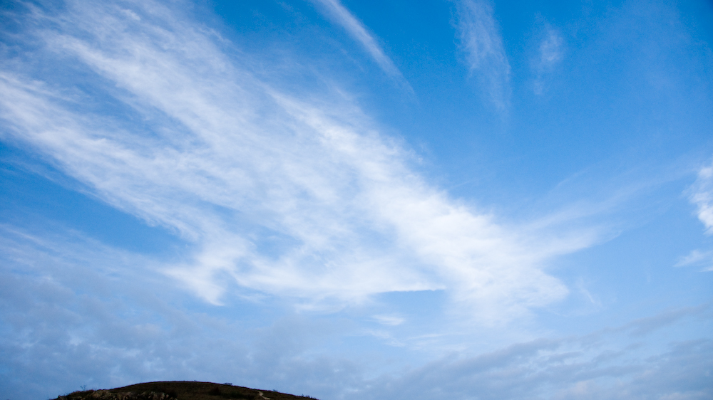 dsc08895.jpg