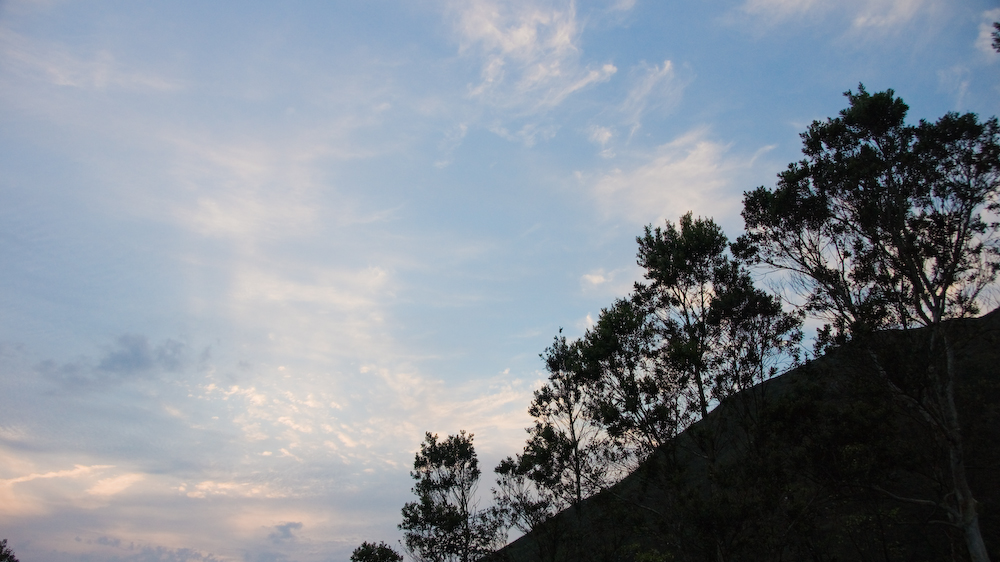 dsc08965.jpg