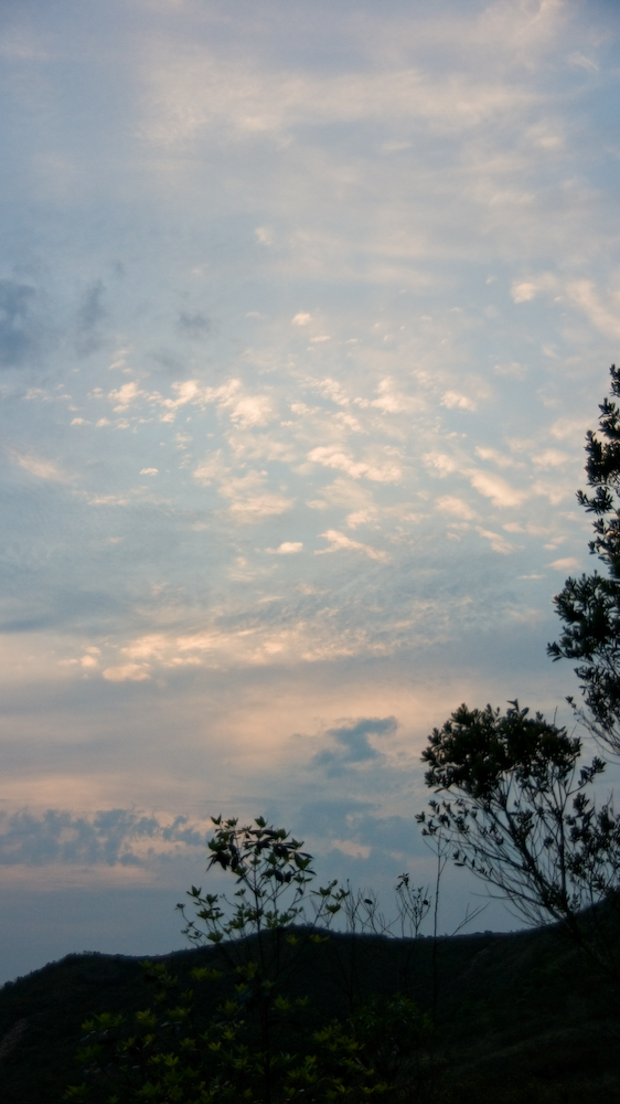 dsc08966.jpg