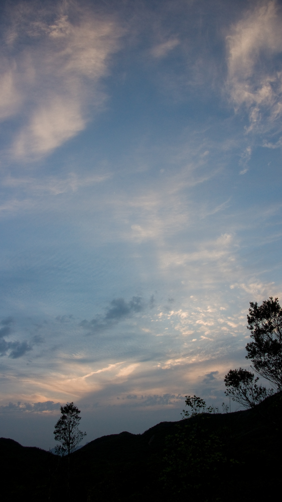 dsc08967.jpg