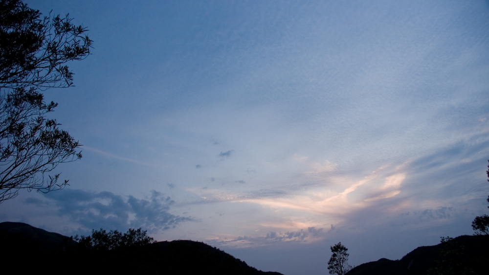 dsc08971.jpg