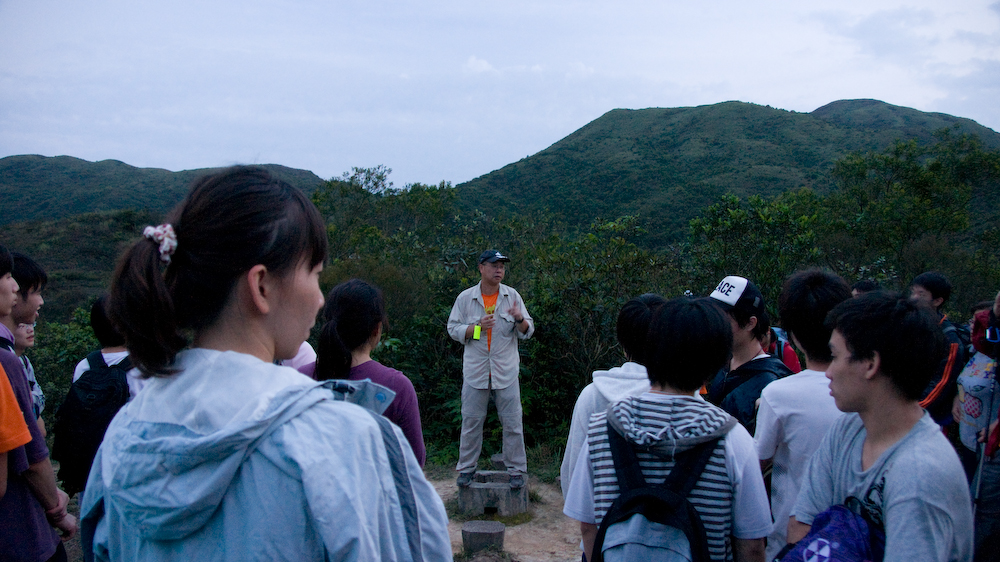 dsc08974.jpg