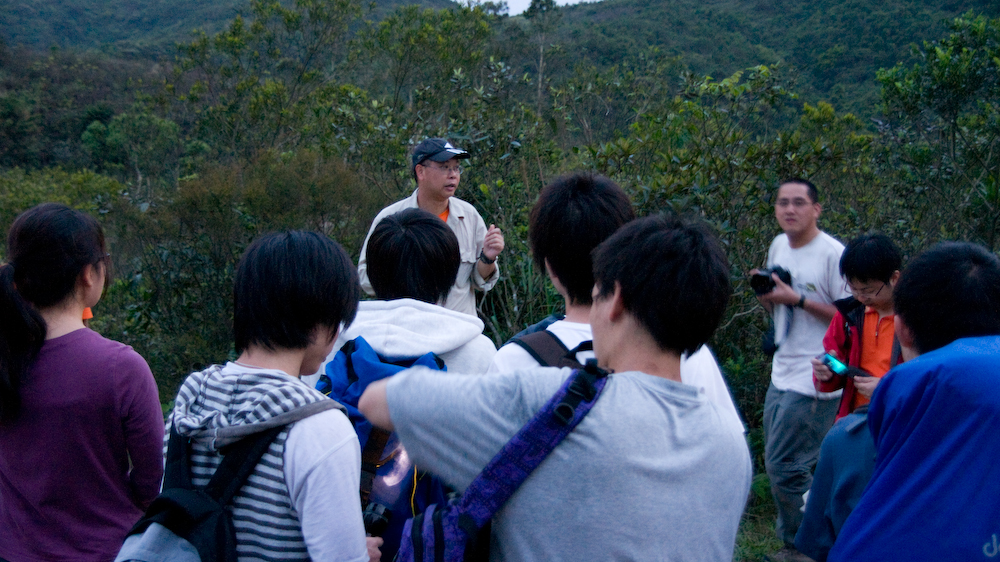 dsc08978.jpg