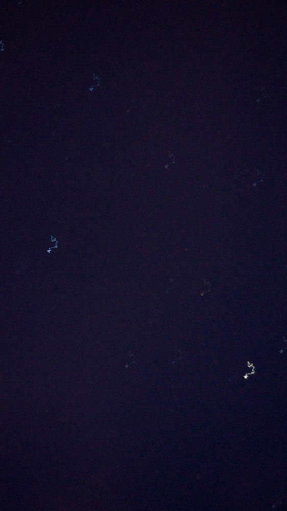 dsc08983.jpg