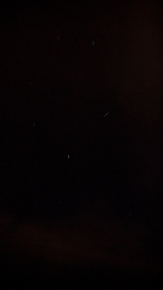 dsc08989.jpg