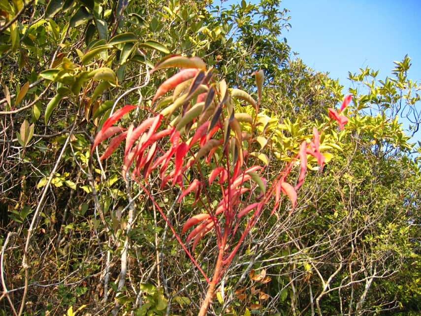 IMG_0373.jpg