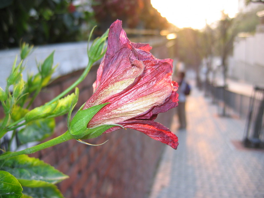 newIMG_1761.JPG