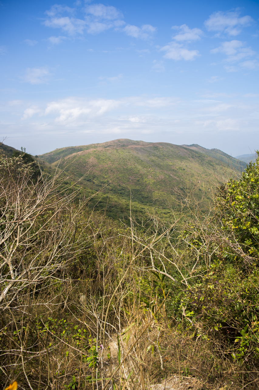 DSC02287.jpg