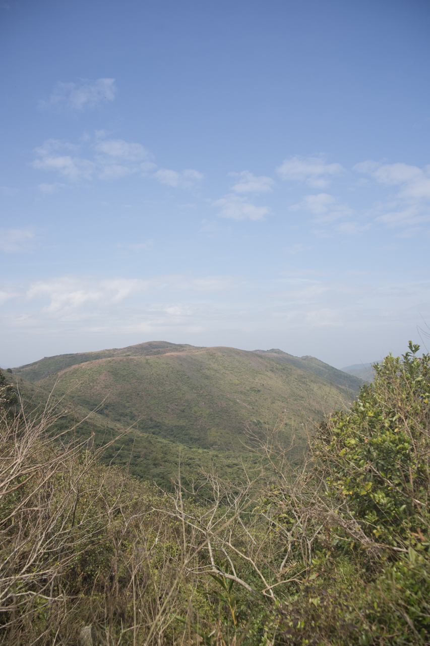 DSC02289.jpg