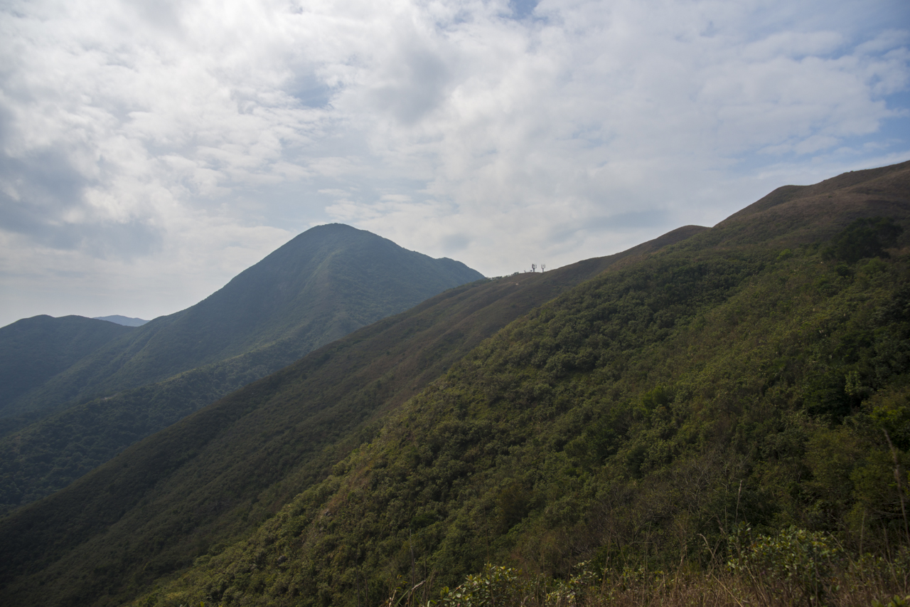 DSC02291.jpg