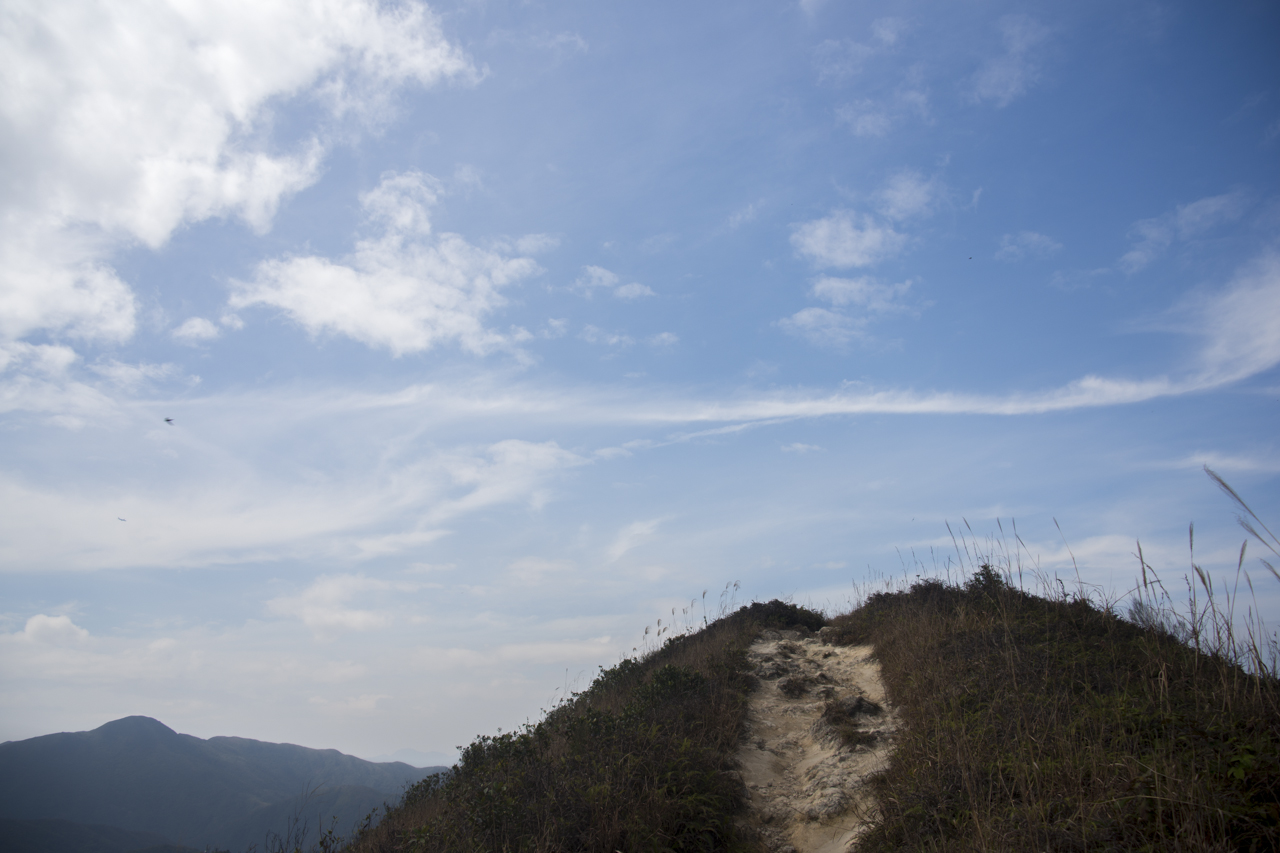 DSC02293.jpg