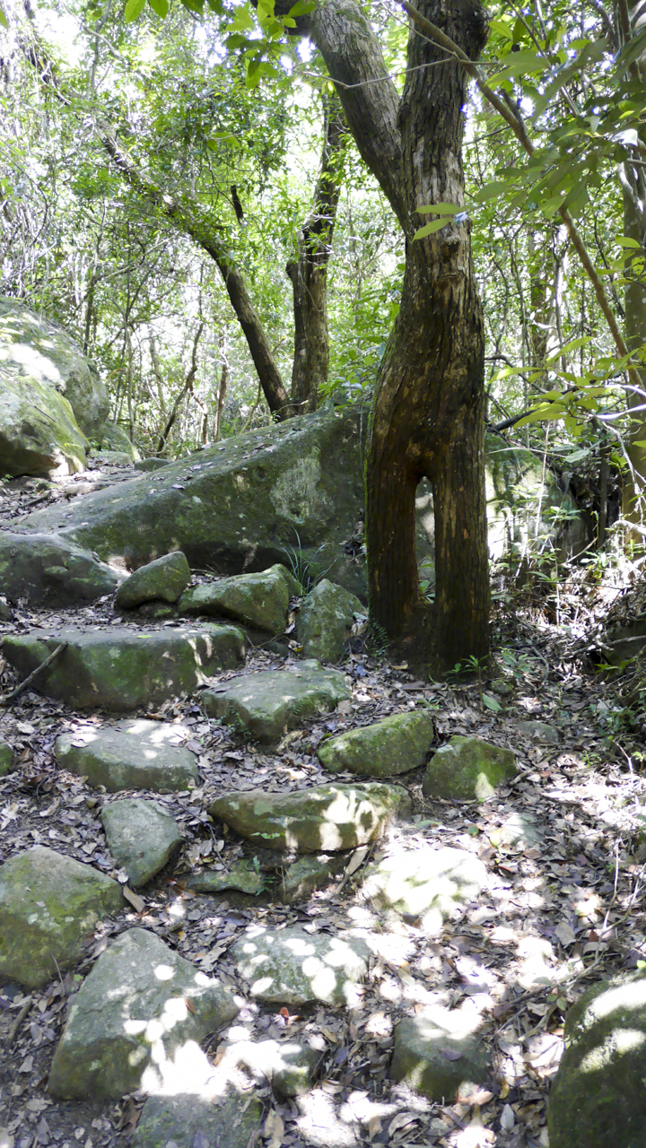 DSC_0079.jpg