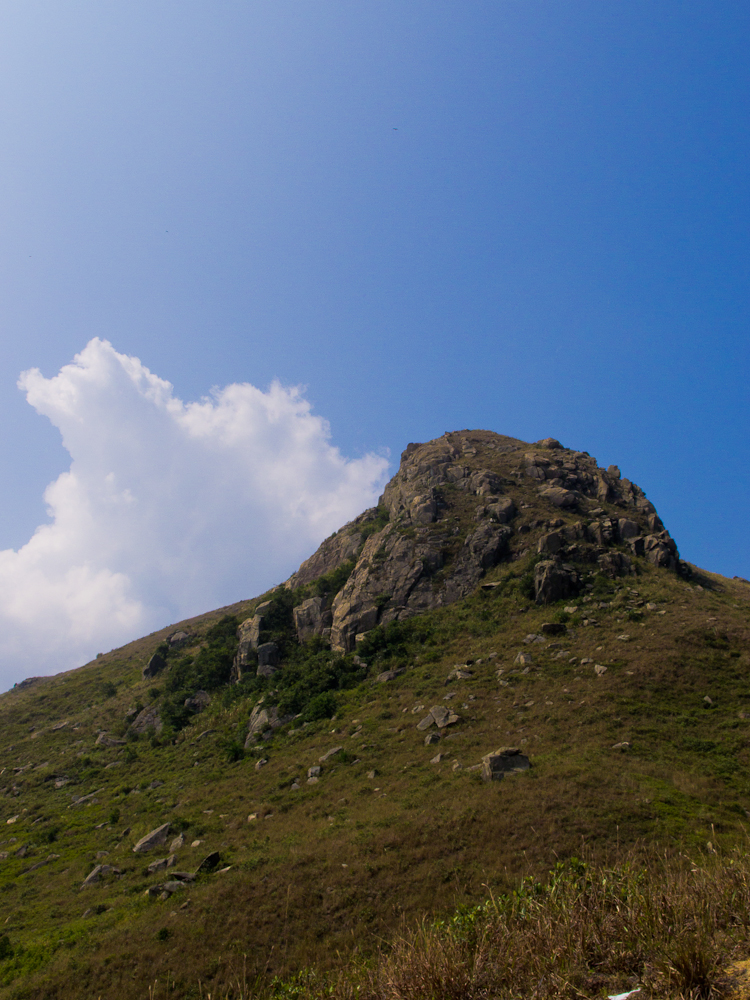 PA221166.jpg