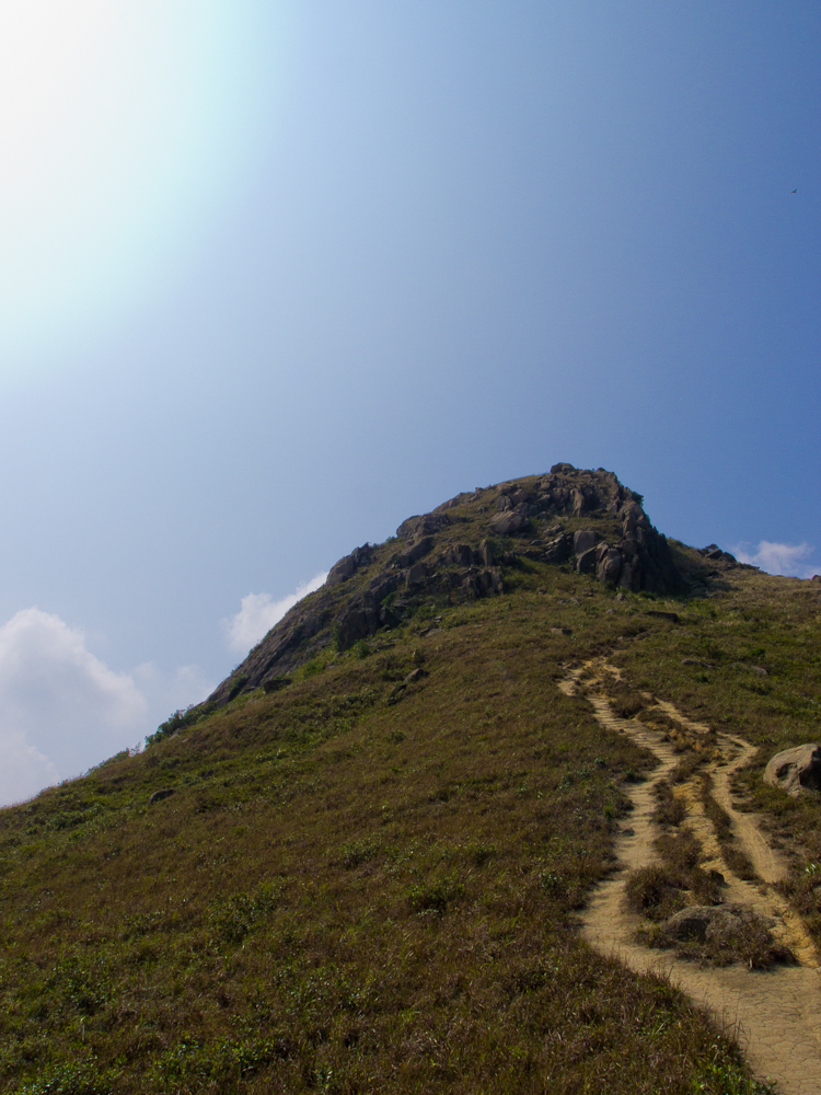 PA221169.jpg
