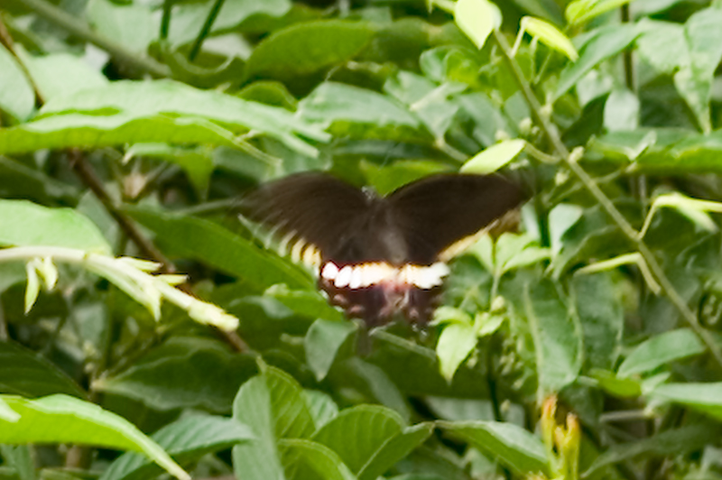 PICT2355.jpg