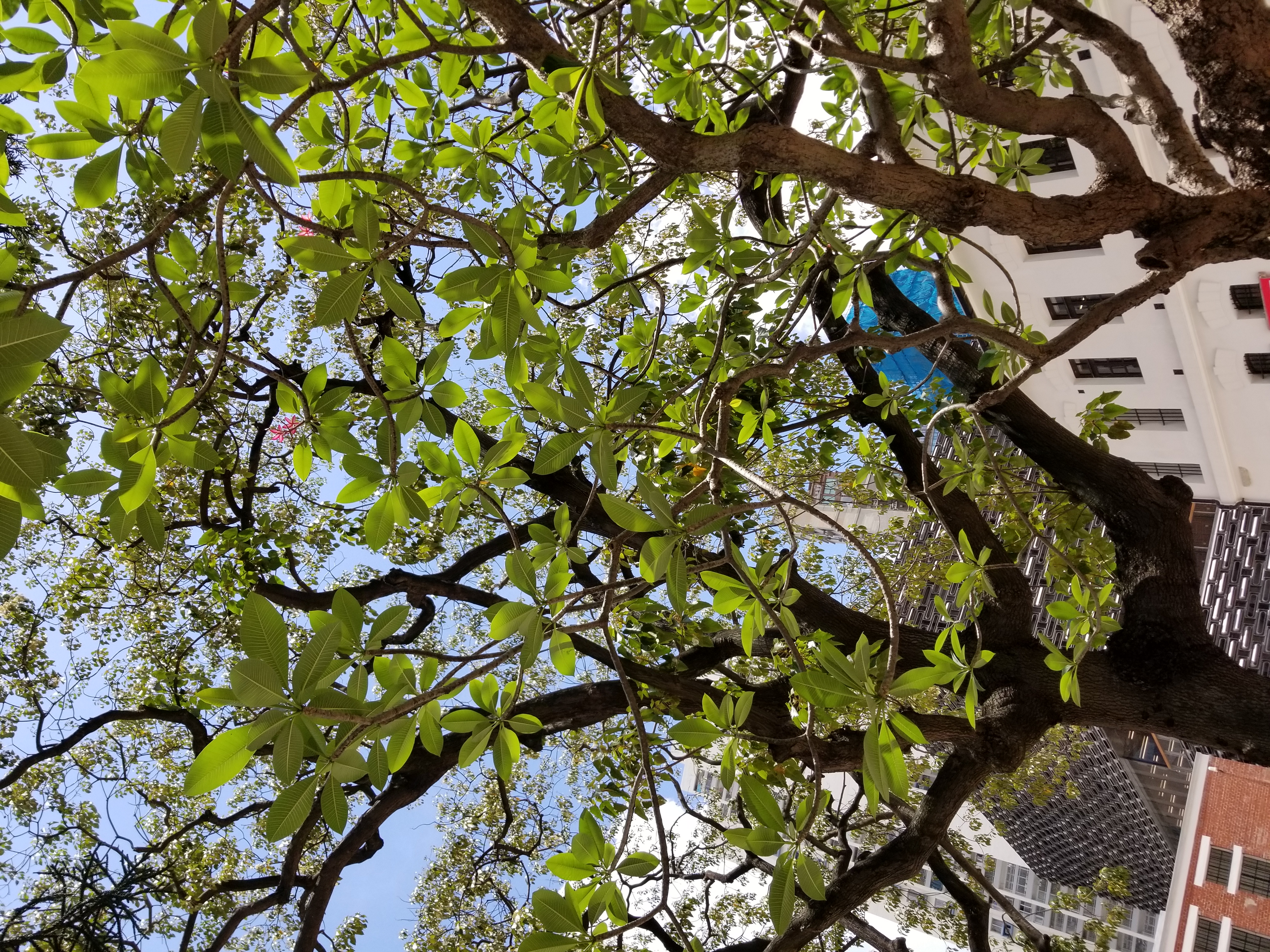 20180630_120057.jpg