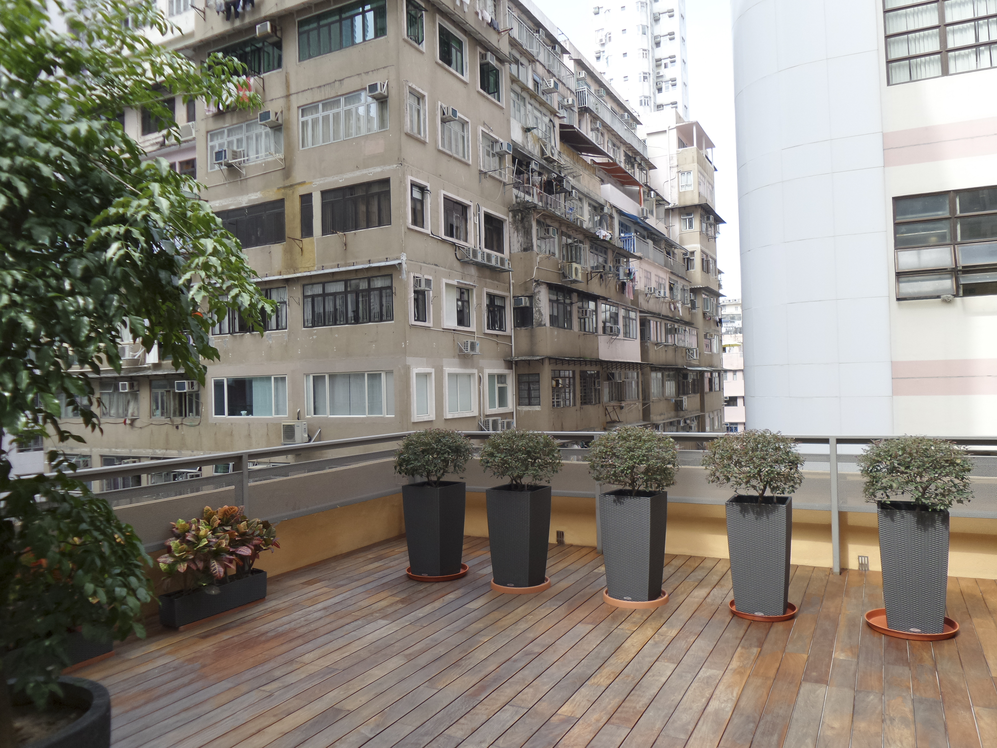 20141030_115233.jpg
