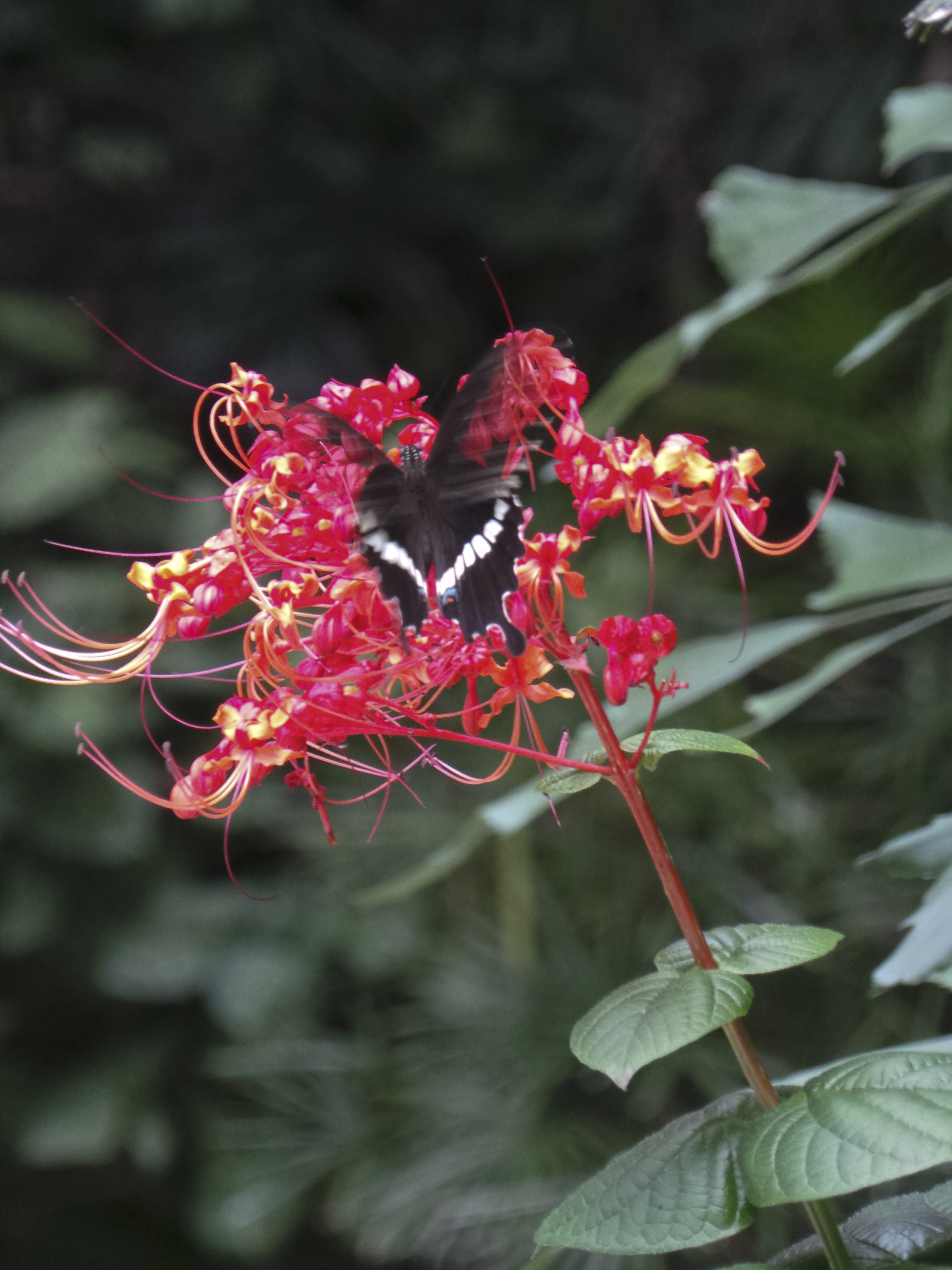 20130607_133032.jpg