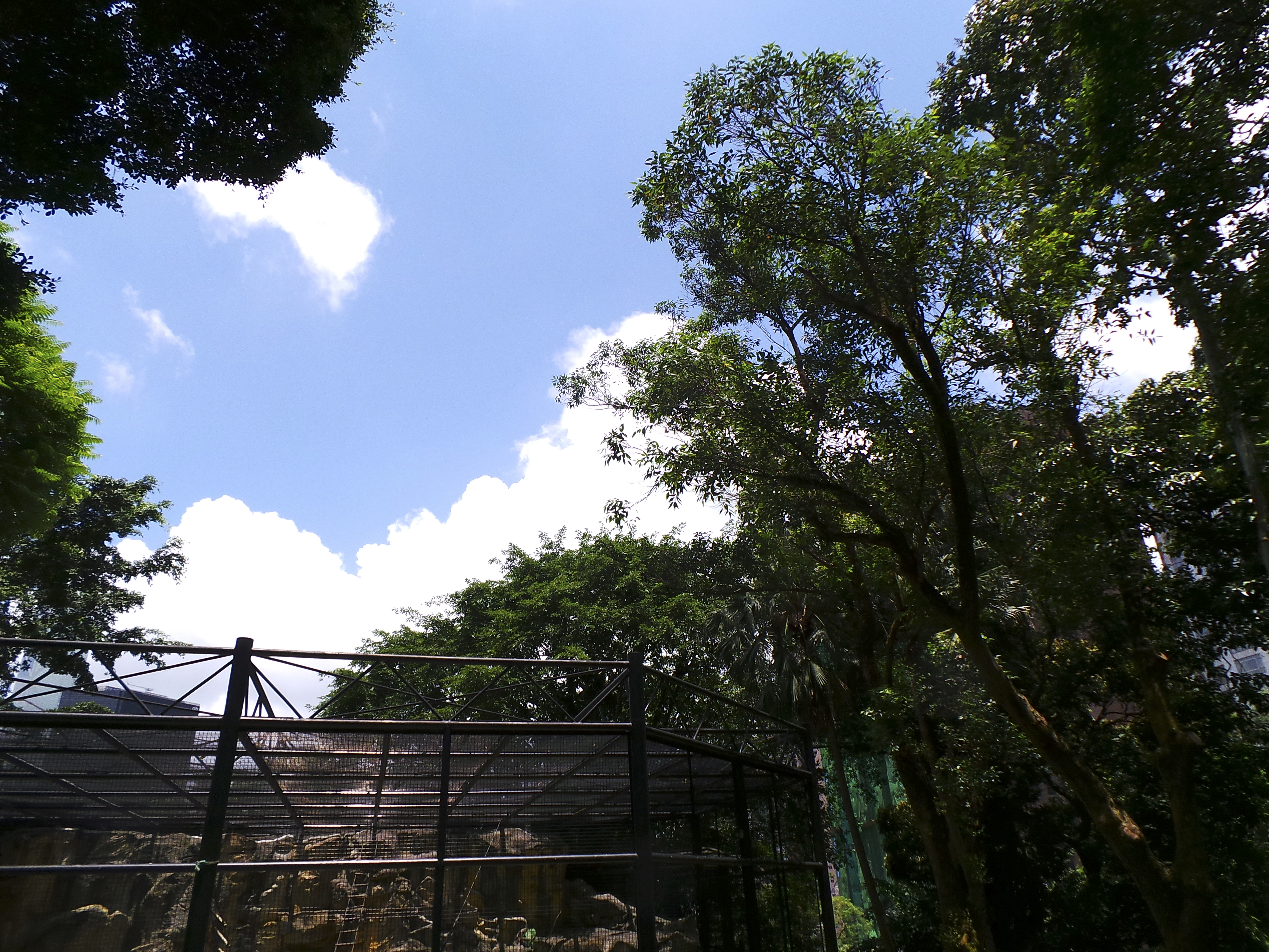 DSC_0396.jpg