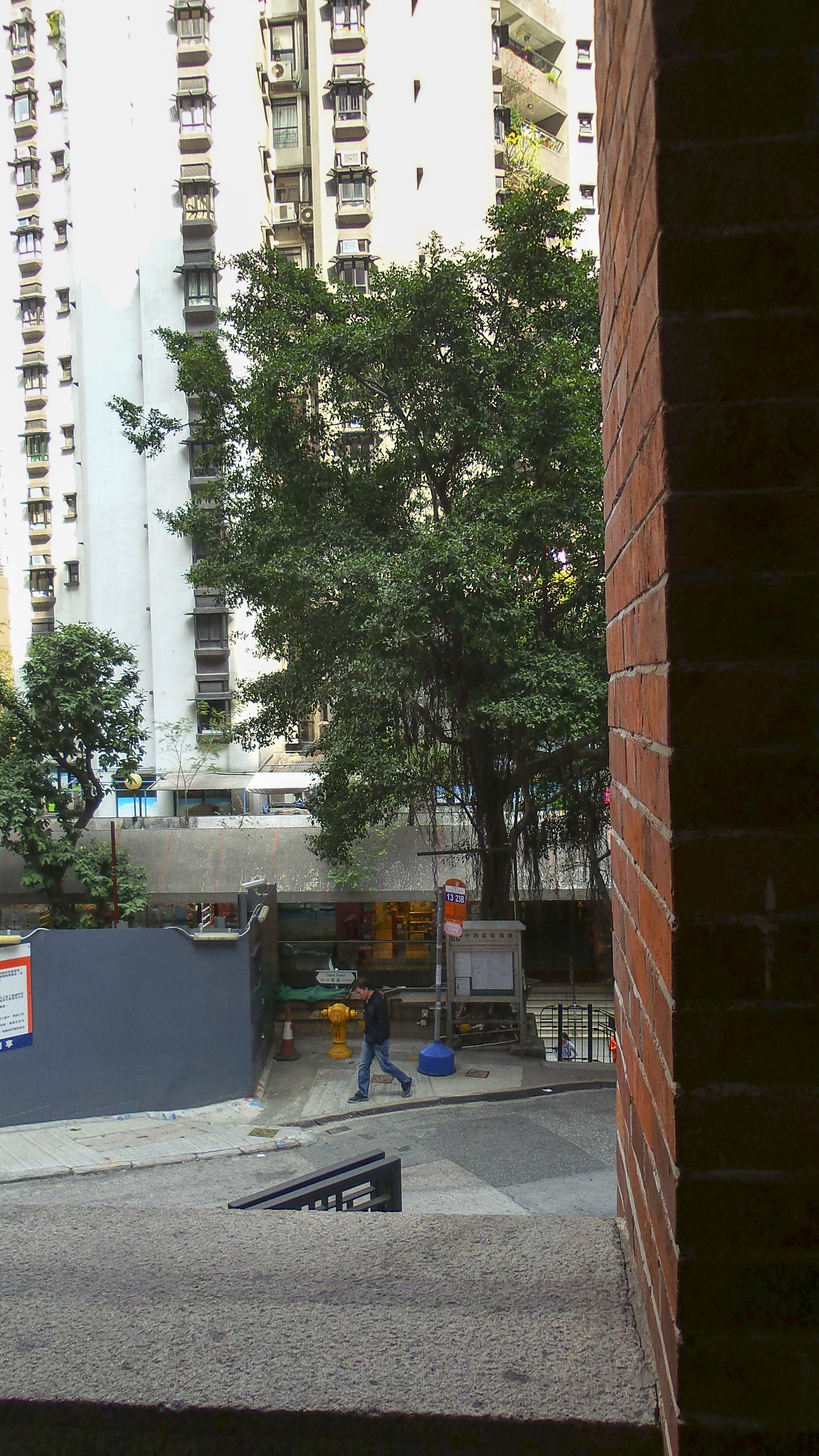 DSC_0885.jpg