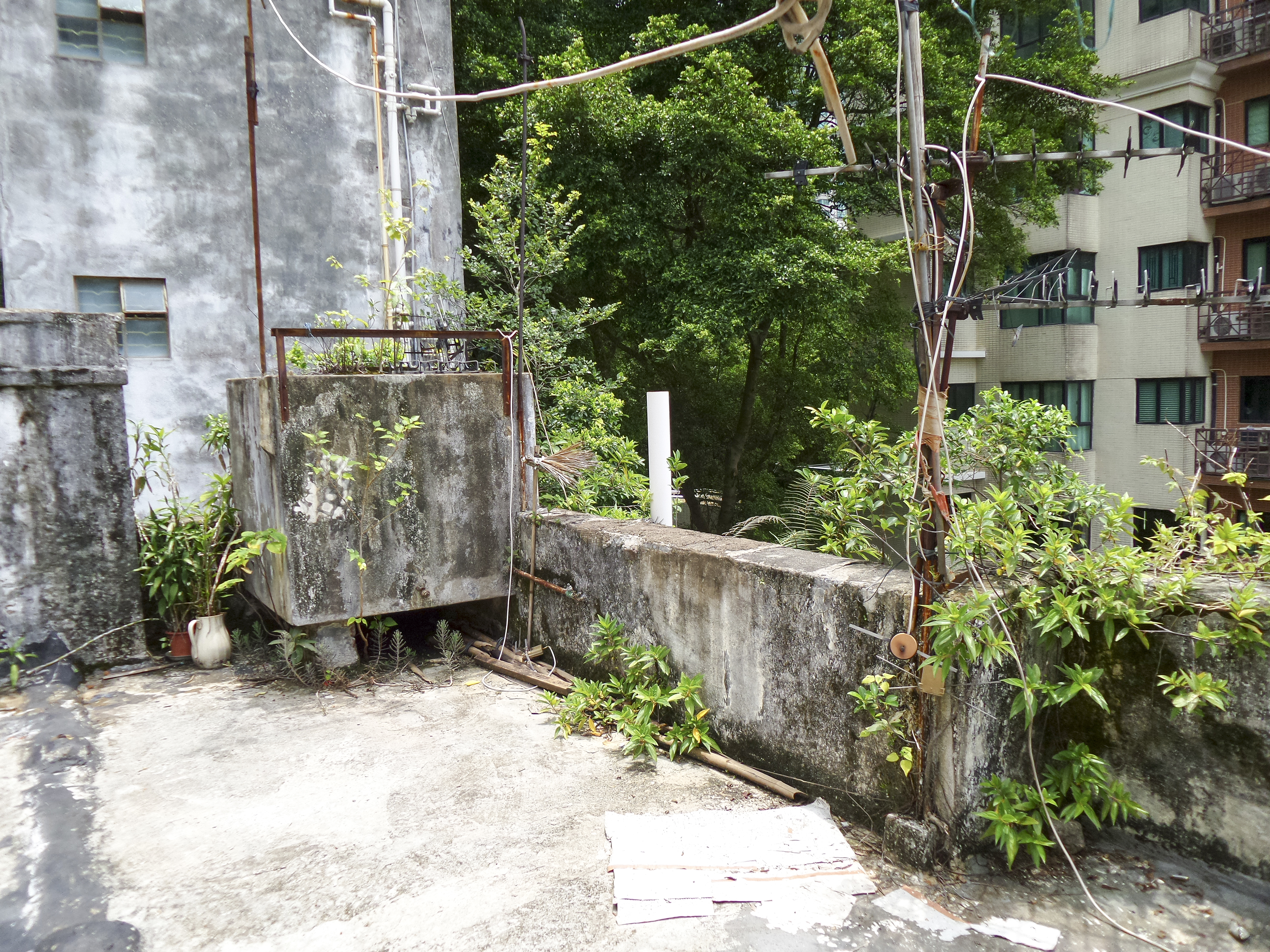 DSC_0030.jpg