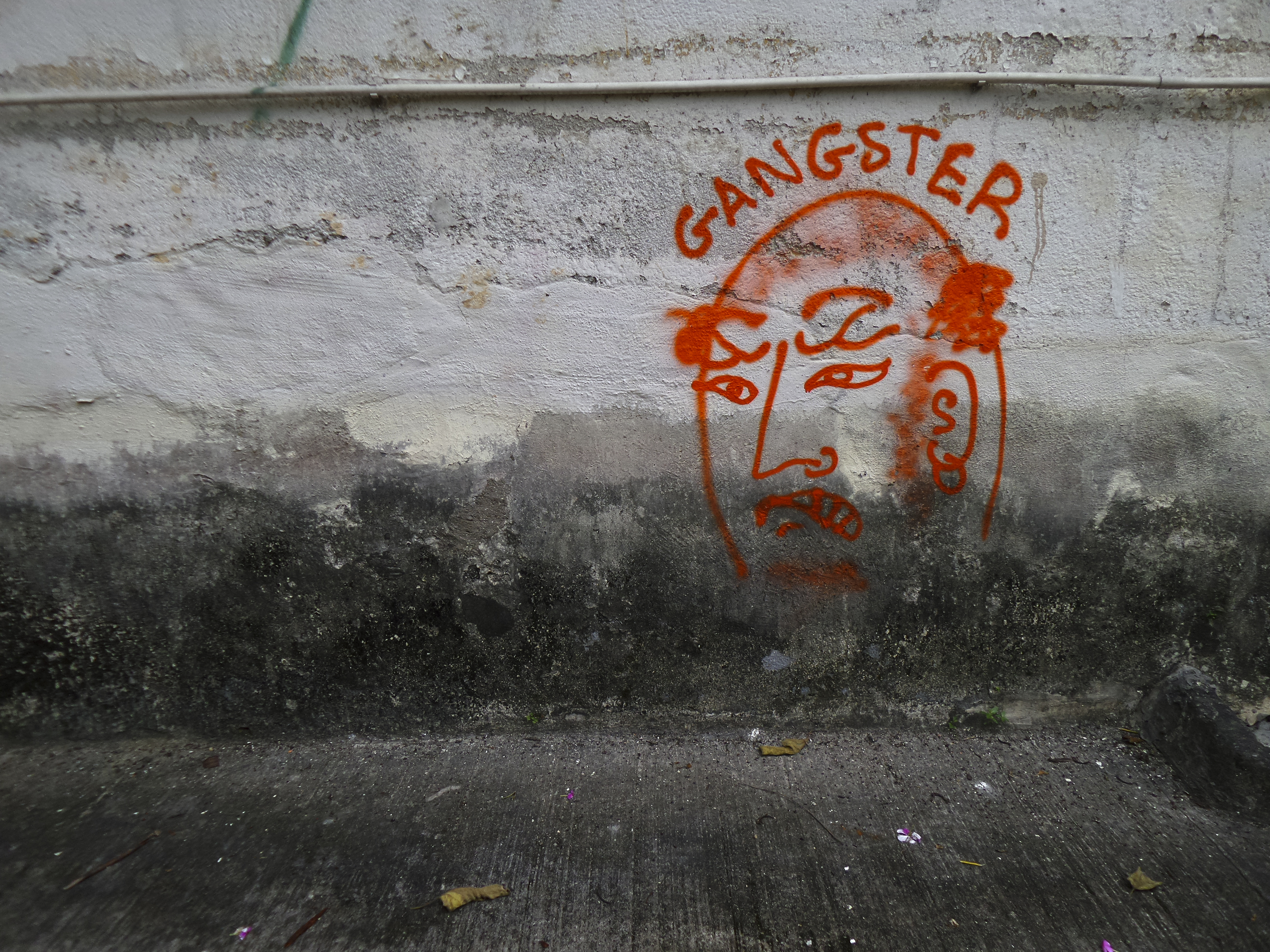 DSC_0039.jpg