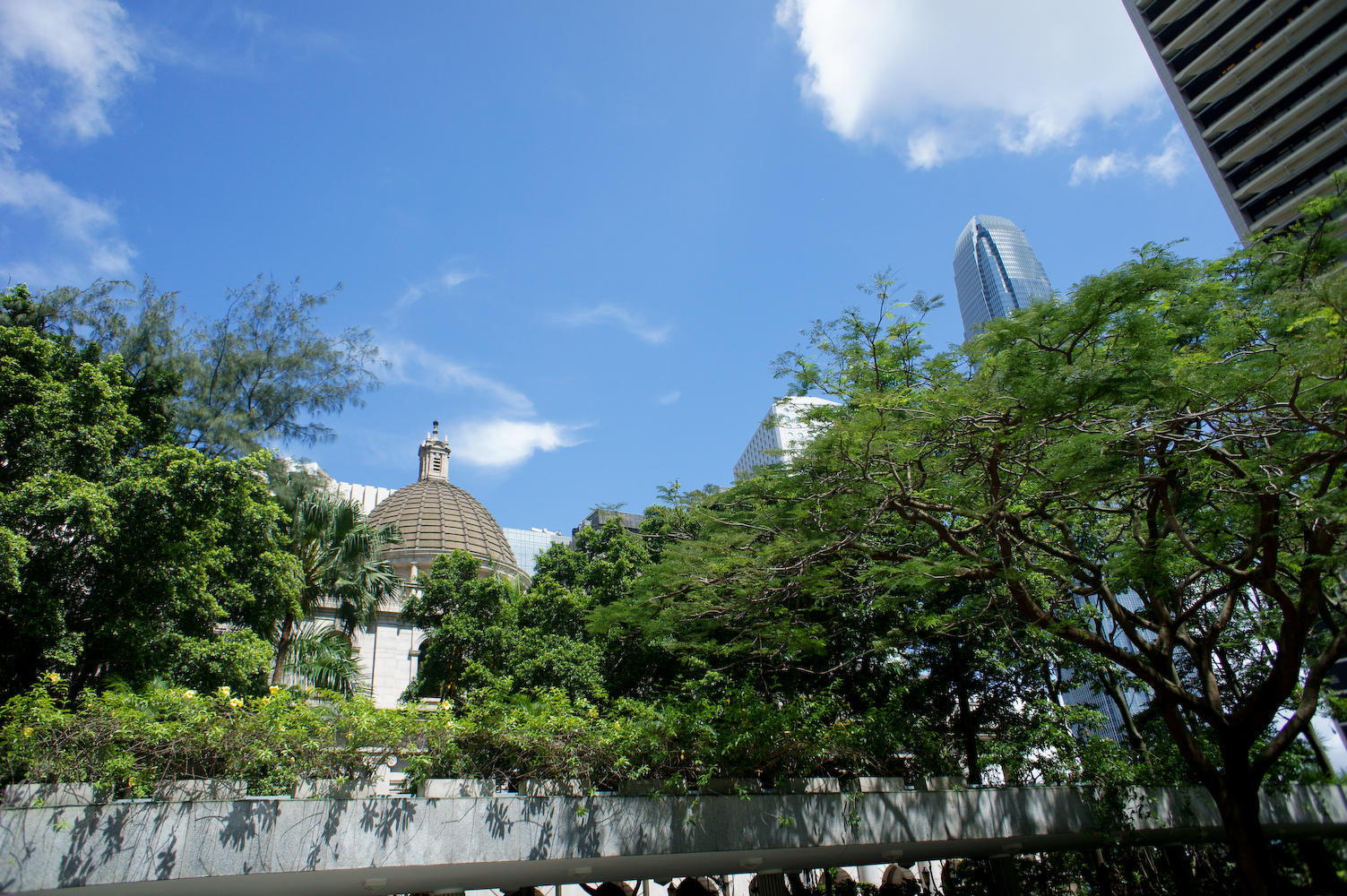DSC00102.jpg