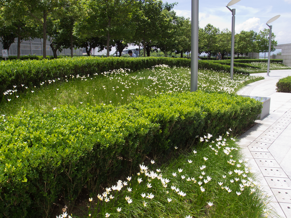 P7220135.jpg